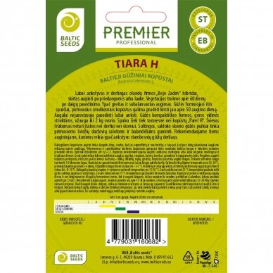 Baltagūžiai kopūstai „TIARA H“, daržovių sėklos, BALTIC SEEDS, 30 sėklų 1