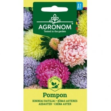 Kininiai ratiliai „POMPON", gėlių sėklos, AGRONOM