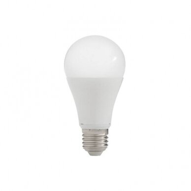 LED lemputė A60 9W