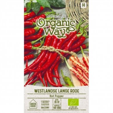 Paprika vienmetė WESTLANDSE LANGE RODE